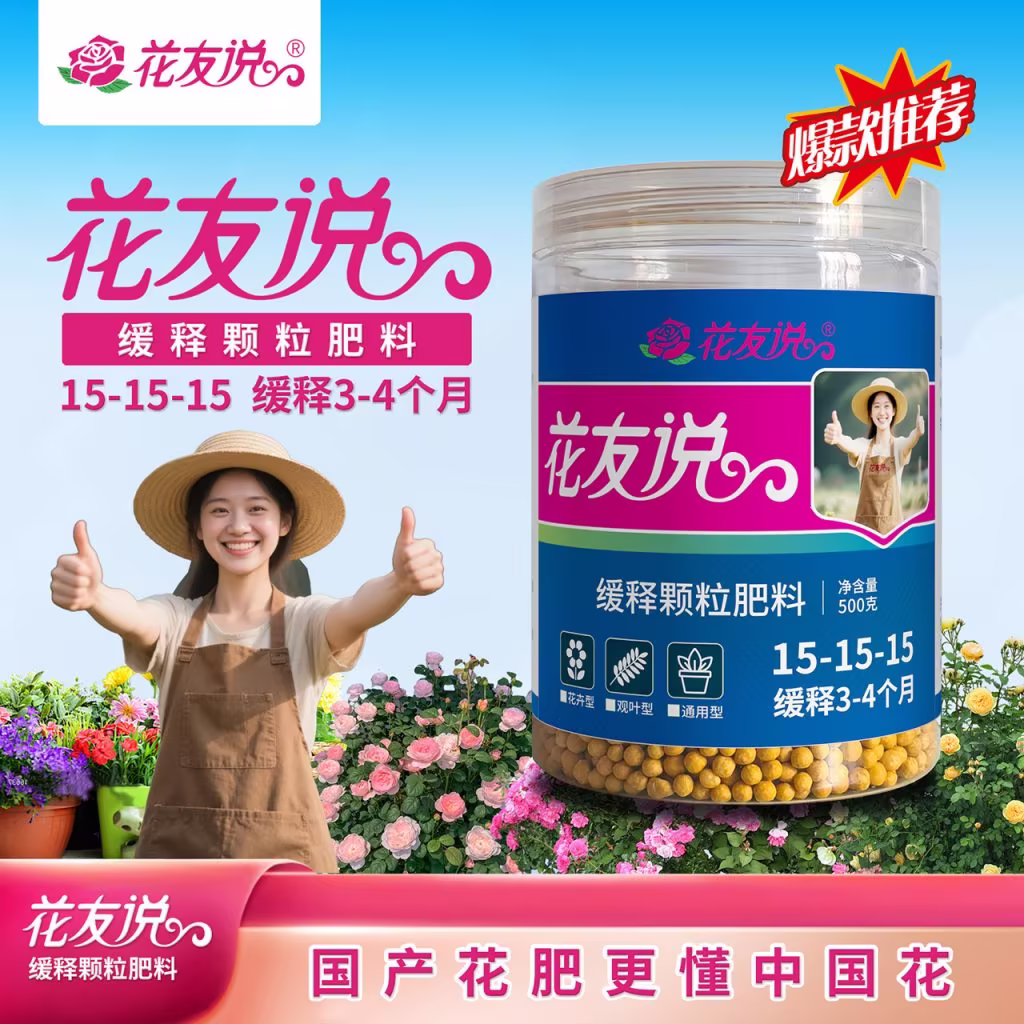 小叶黄杨盆栽培日常管理、养护，框中生命的奔放