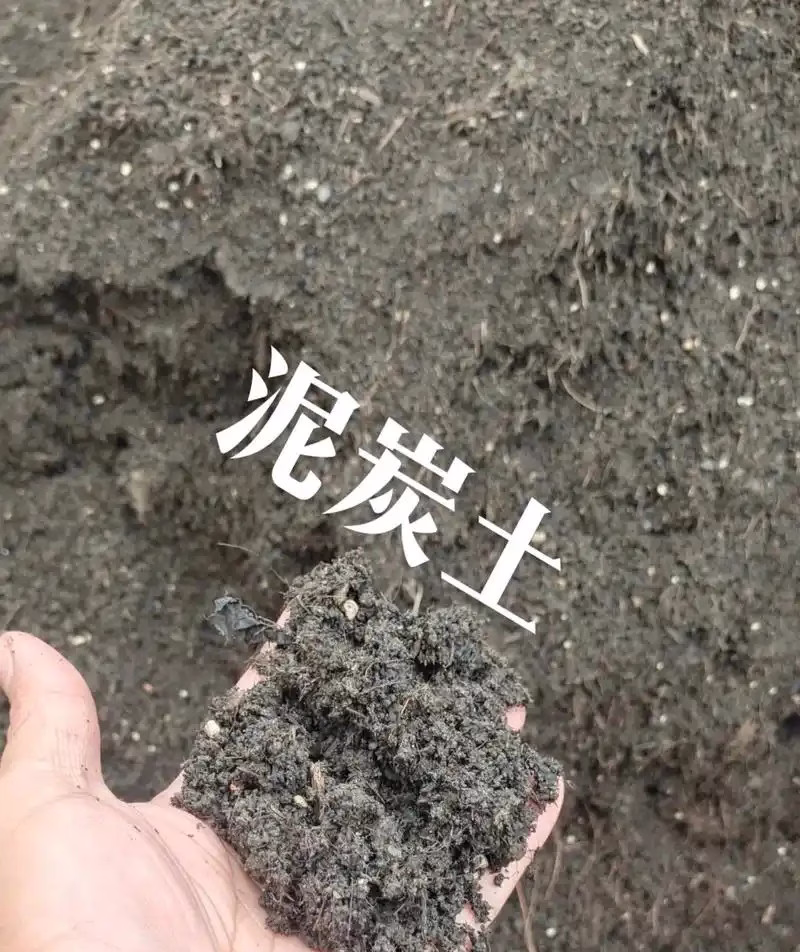 泥炭土