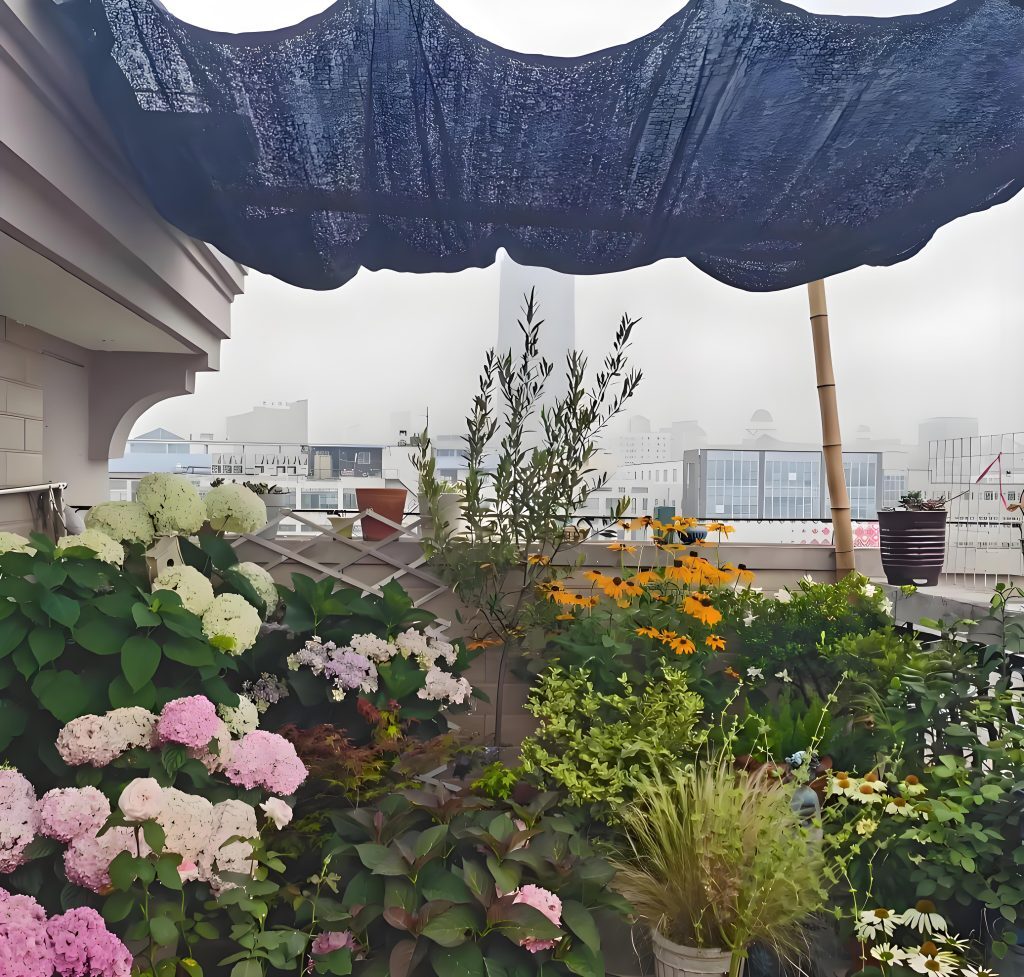 花卉绿植如何完美度夏？遮阳、浇水…，花友分享六招